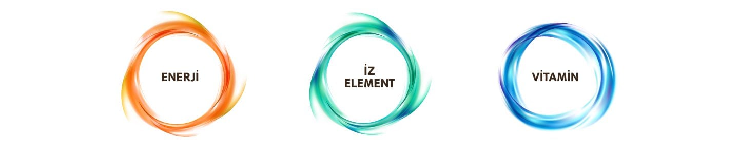 Enerji, iz element= ve= vitamin