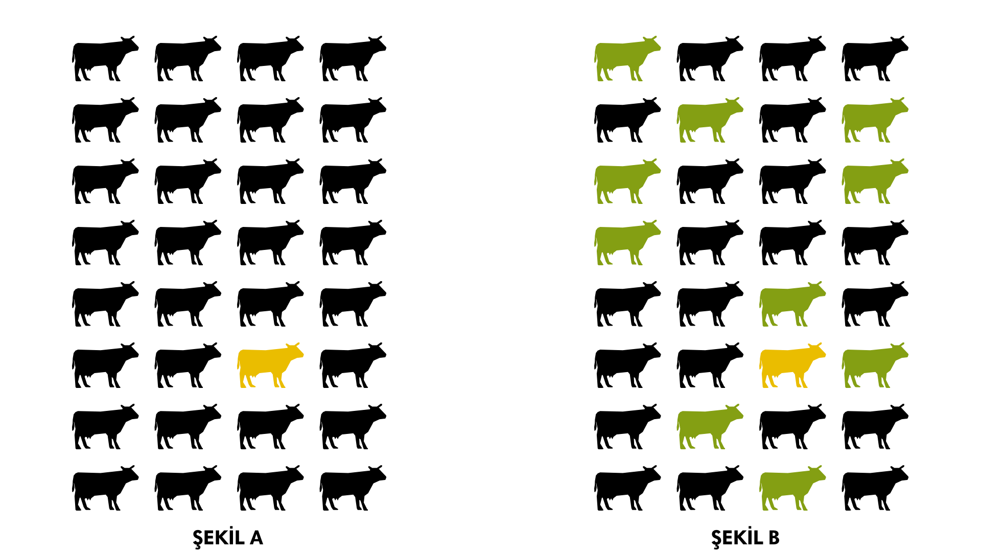 Mastitis Klinik Subklinik