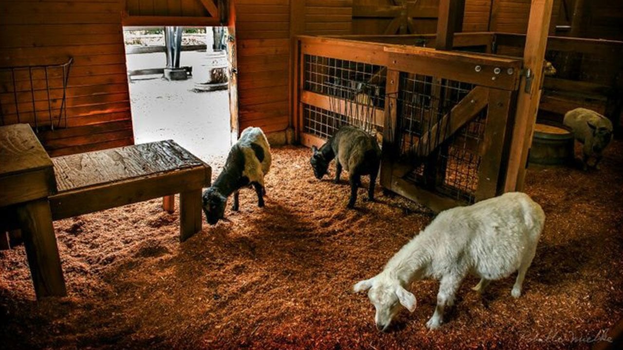 Ahırlarınız Kışa Hazır mı?