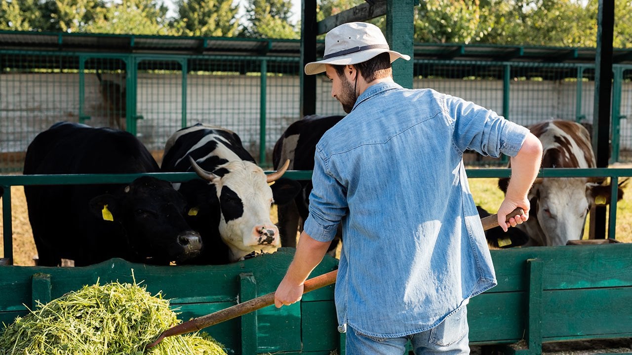 Hayvancılıkta Verimi Artıran En Önemli Çiftlik Ekipmanları