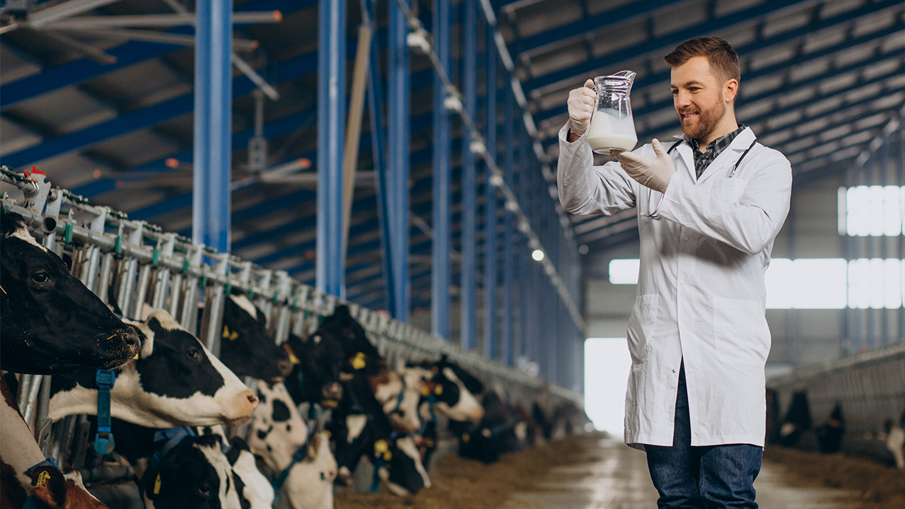 Precision Dairy Farming Nedir? Hassas Süt Hayvancılığına Giriş