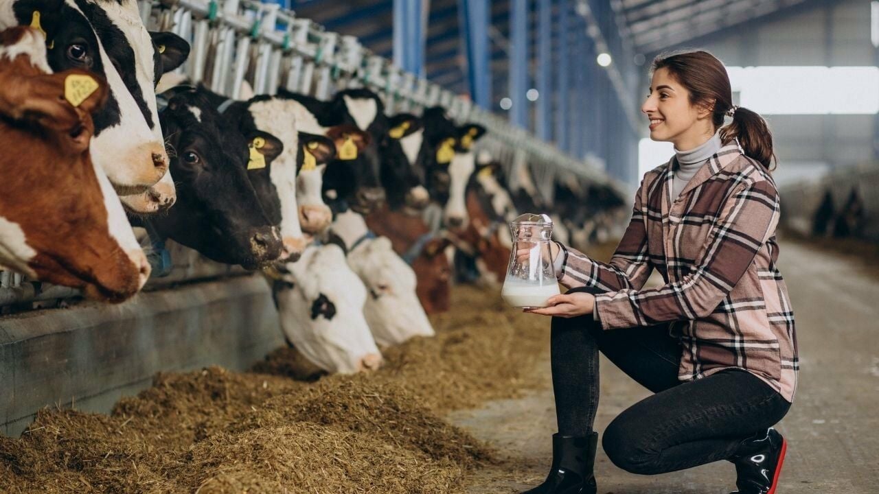 Çiftlik Hayvanlarında Süt Verimi Nasıl Artırılır?