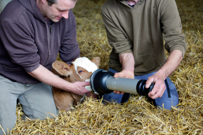 Kerbl Yenidoğan Aspiratörü