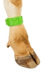 Kerbl Yeşil Plastik Ayak Bandı